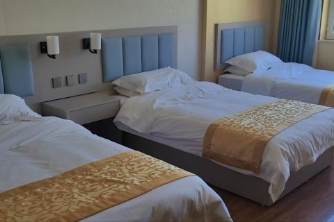 尼勒克阿克塔斯度假村