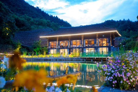 雷山凉水井茶园山房