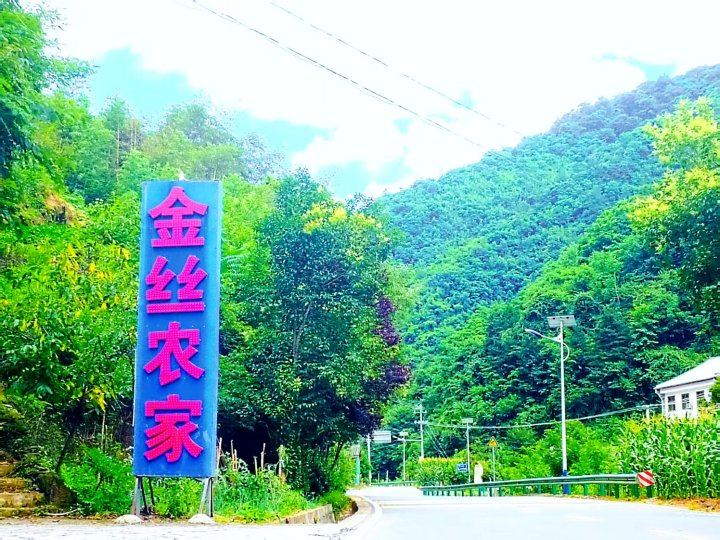 金丝峡金丝农家