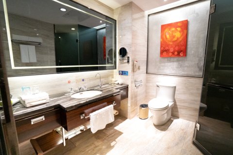 介休黄金港假日酒店