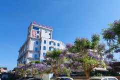 姚安雄达大酒店