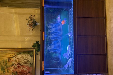 维也纳酒店(南丹洞天酒海景区金芙蓉广场店)