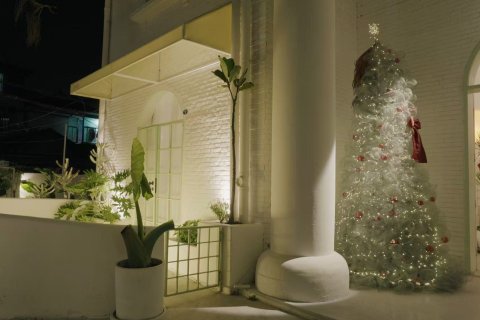 厦门oneday薄荷设计师