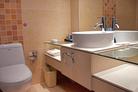 乌鲁木齐西域轻工国际酒店