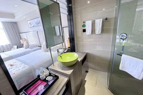 腾冲艺龙海雅酒店