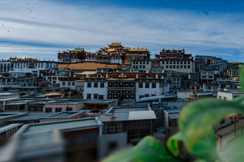 美程里酒店(香格里拉噶丹松赞林寺店)