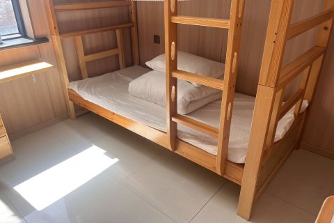 布尔津初见青年旅舍