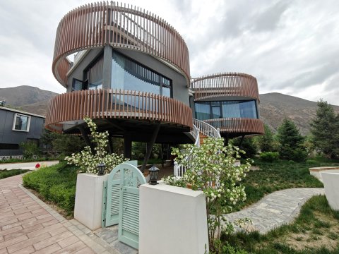 漳县自在花野民宿