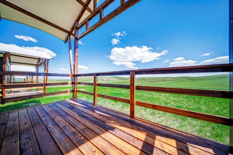 呼伦贝尔陈巴尔虎旗190天边草原游牧部落