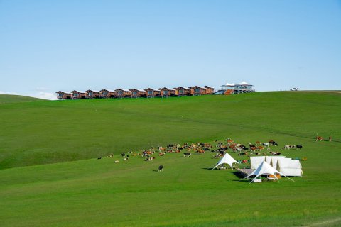 呼伦贝尔陈巴尔虎旗190天边草原游牧部落