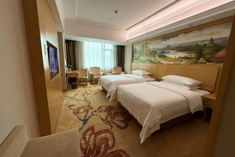 维也纳酒店(南丹洞天酒海景区金芙蓉广场店)