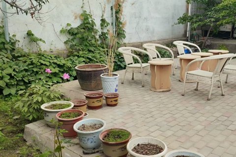 嘉峪关西北人家客栈