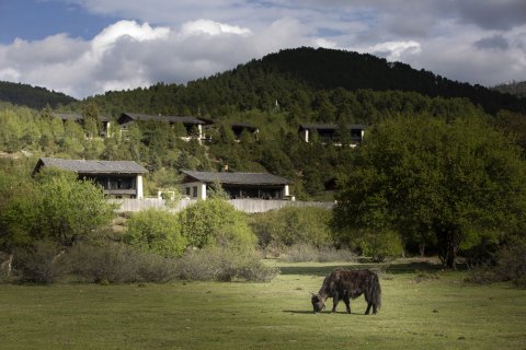 香格里拉仁安悦榕庄