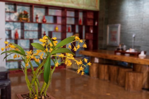 文山缔龙酒店(泰康小区店)