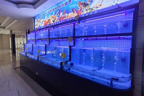 武功盛世假日大酒店