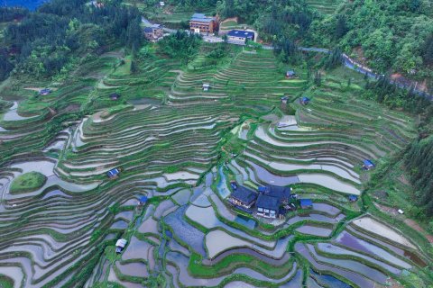 从江加榜梯田田之缘景观山庄