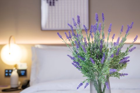 麗枫酒店(曲阜三孔景区店)