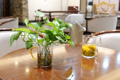 盐亭嫘祖故里大酒店