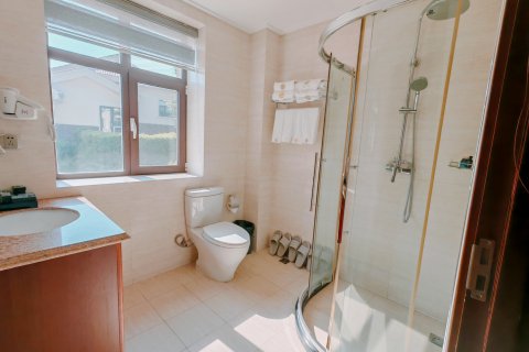 通化振国养生谷壹号庄园