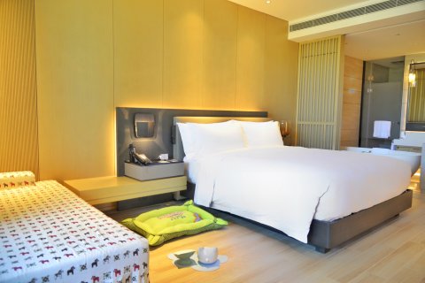 海南兴隆希尔顿逸林滨湖度假酒店