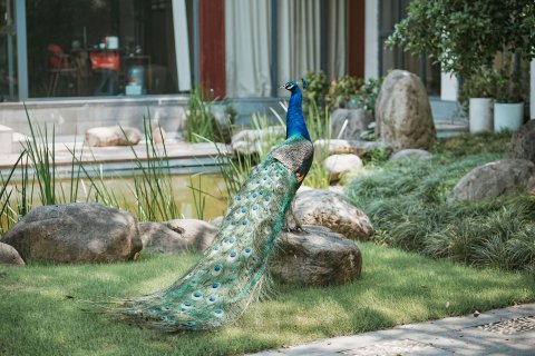 扬州瘦西湖温泉度假村