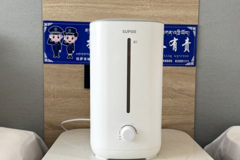 平措康桑观景酒店(布达拉宫店)