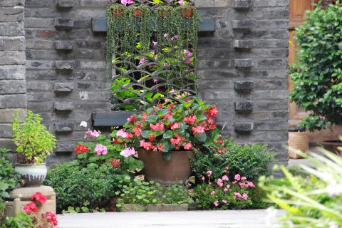 阆中土生金钱庄