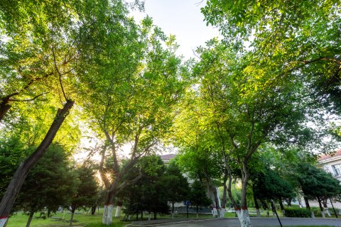 新源联诚生态大酒店