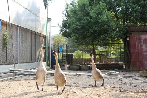 叶园温泉度假酒店(河源东源店)