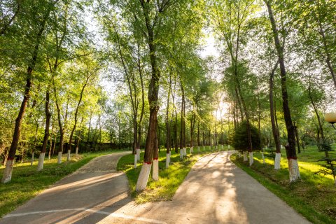 新源联诚生态大酒店