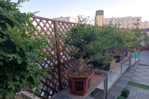 福祐·庭院民宿