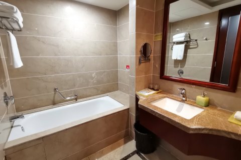 益阳华天大酒店