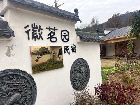 铜陵徽茗园民宿