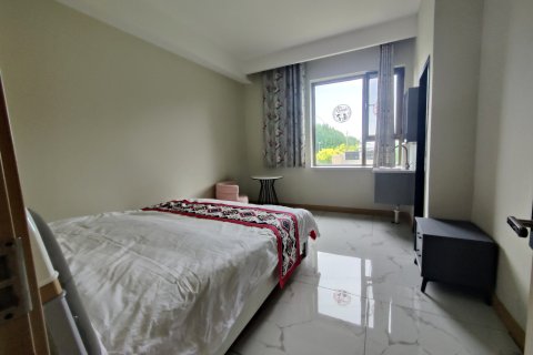 特克斯县归园田居