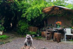 熊熊部落民宿(龙虎山店) 熊熊部落民宿(龙虎山店)