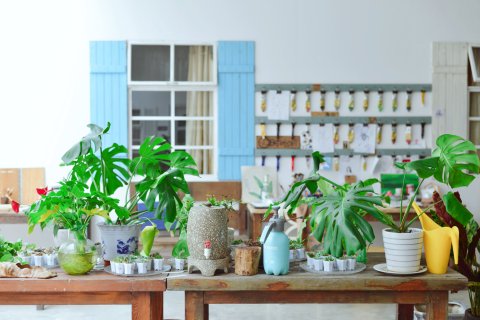 798国际青年旅舍(青岛海景店)