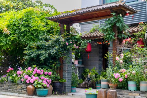 朱家尖时光小驻客栈