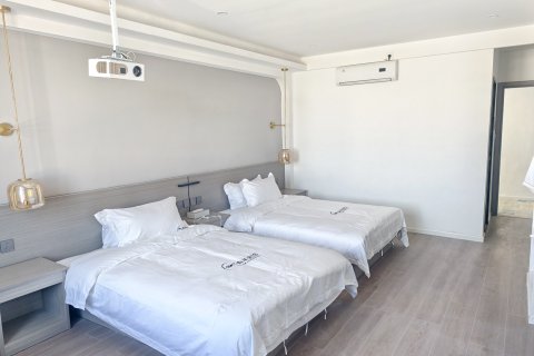 仲巴帕羊青年宾馆