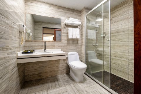 融水梦泰东宁大酒店