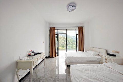 长臂猿悬崖酒店