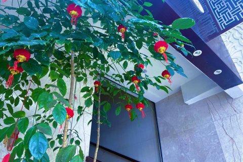 德化瓷国明珠酒店