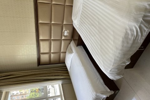 桓仁天宇宾馆(民族广场音乐喷泉店)