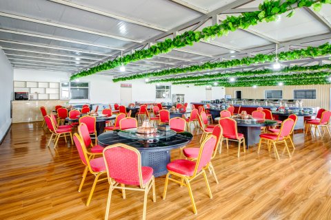 呼伦贝尔市陈巴尔虎旗金骄草原非遗传统蒙古包民宿