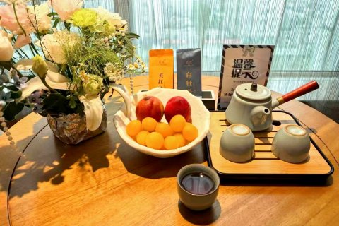 伊尹文化酒店(聊城市莘县店)