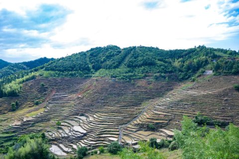 德化瓷国明珠酒店