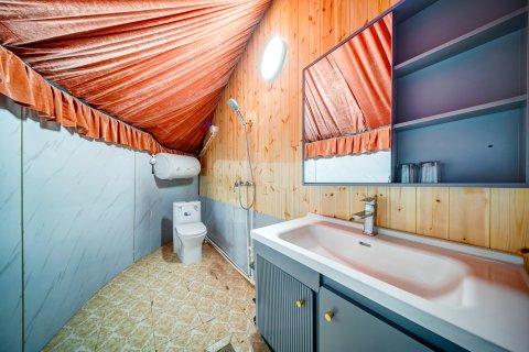 呼伦贝尔市陈巴尔虎旗金骄草原非遗传统蒙古包民宿