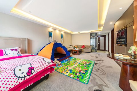 西藏岷山饭店(布达拉宫店)