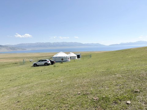 赛里木湖鲸语毡房民宿