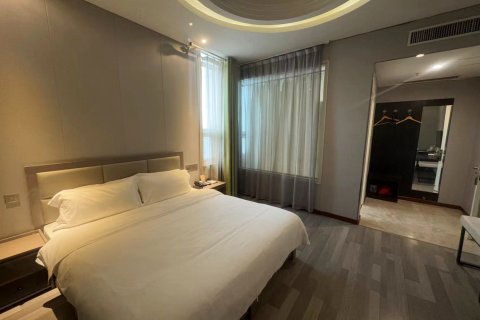 嵩县泊雅中州酒店