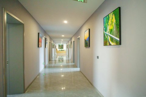 尼勒克花漾云栖民宿